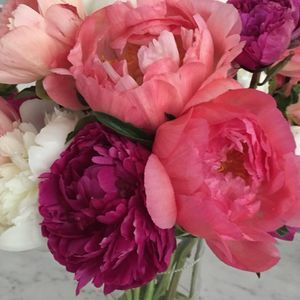 Meet your Posher, Concepcion